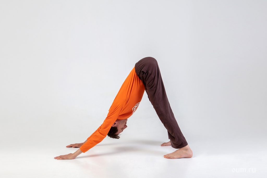 Adho Mukha Švanasana