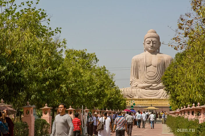 budda-dvasinis-mokytojas